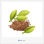cardamom, هل