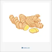 ginger, زنجبیل