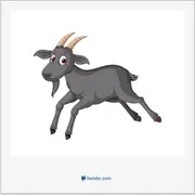 goat, بز