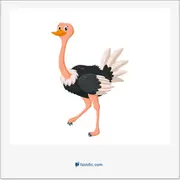 ostrich, شترمرغ (گونه‌ای از پرندگان آفریقایی که گردن دراز و پاهای بلندی دارد و قادر به پرواز کردن نیست)