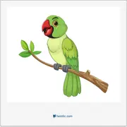 parrot, طوطی