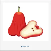 rose-apple, سیب گلاب