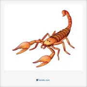scorpion, کژدم، عقرب