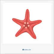 starfish, ستاره دریایی ( vulgaris asterias )، نجم‌البحر