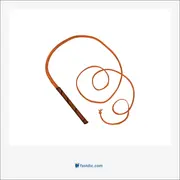 whip, تازیانه، شلاق، حرکت تند و سریع و با ضربت، شلاق زدن، تازیانه زدن