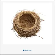 آشیانه, nest, roost, coop, aerie, eyrie, hutch, nidi-