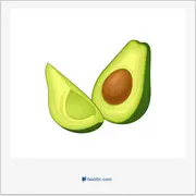 آوکادو, avocado