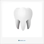 دندان, tooth, tusk, fang, tush, dent-, denti-, dont-, -odon