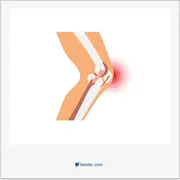 زانو, knee, genu