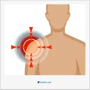شانه, shoulder, scapula