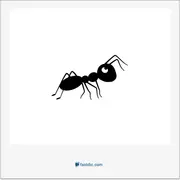 مورچه, ant, pismire, myrmee-