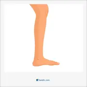 پا, leg, gam, shank, -pede, -pod