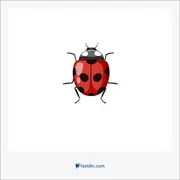 کفشدوزک, ladybug, ladybeetle, ladybird