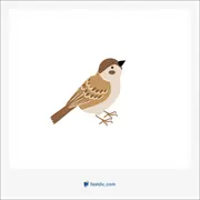 گنجشک, sparrow